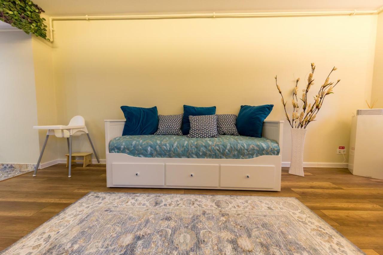 Apartament Carol シナヤ エクステリア 写真