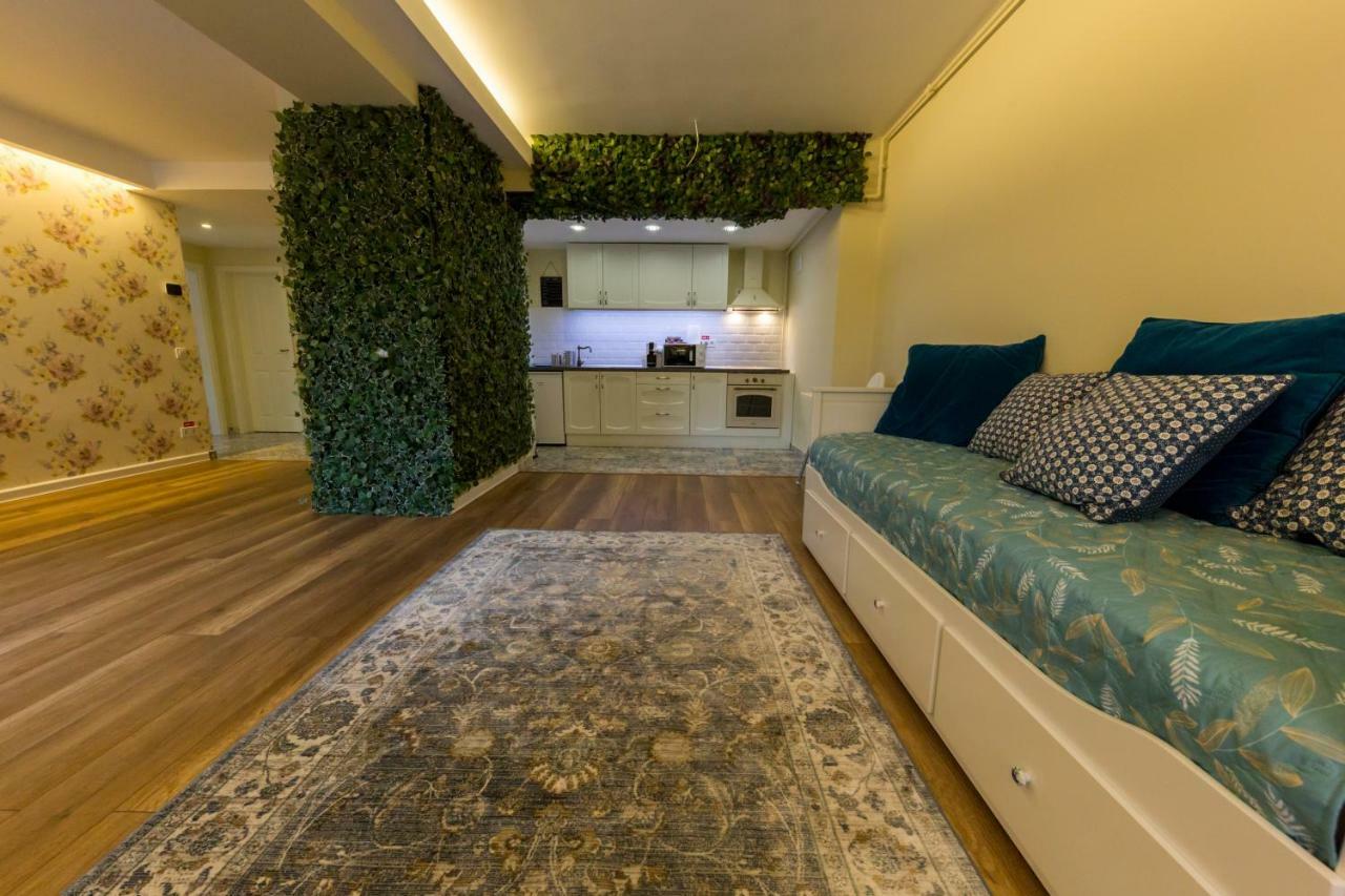 Apartament Carol シナヤ エクステリア 写真