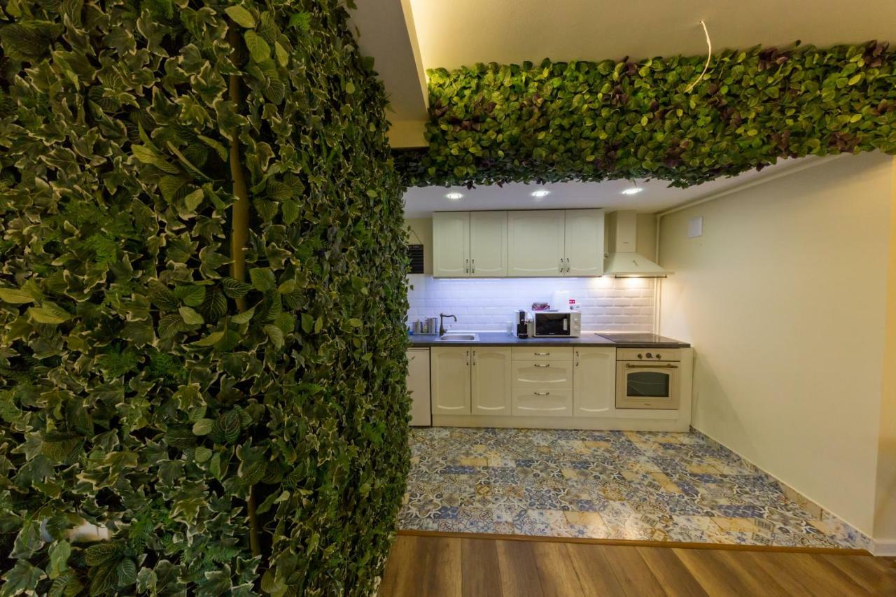Apartament Carol シナヤ エクステリア 写真