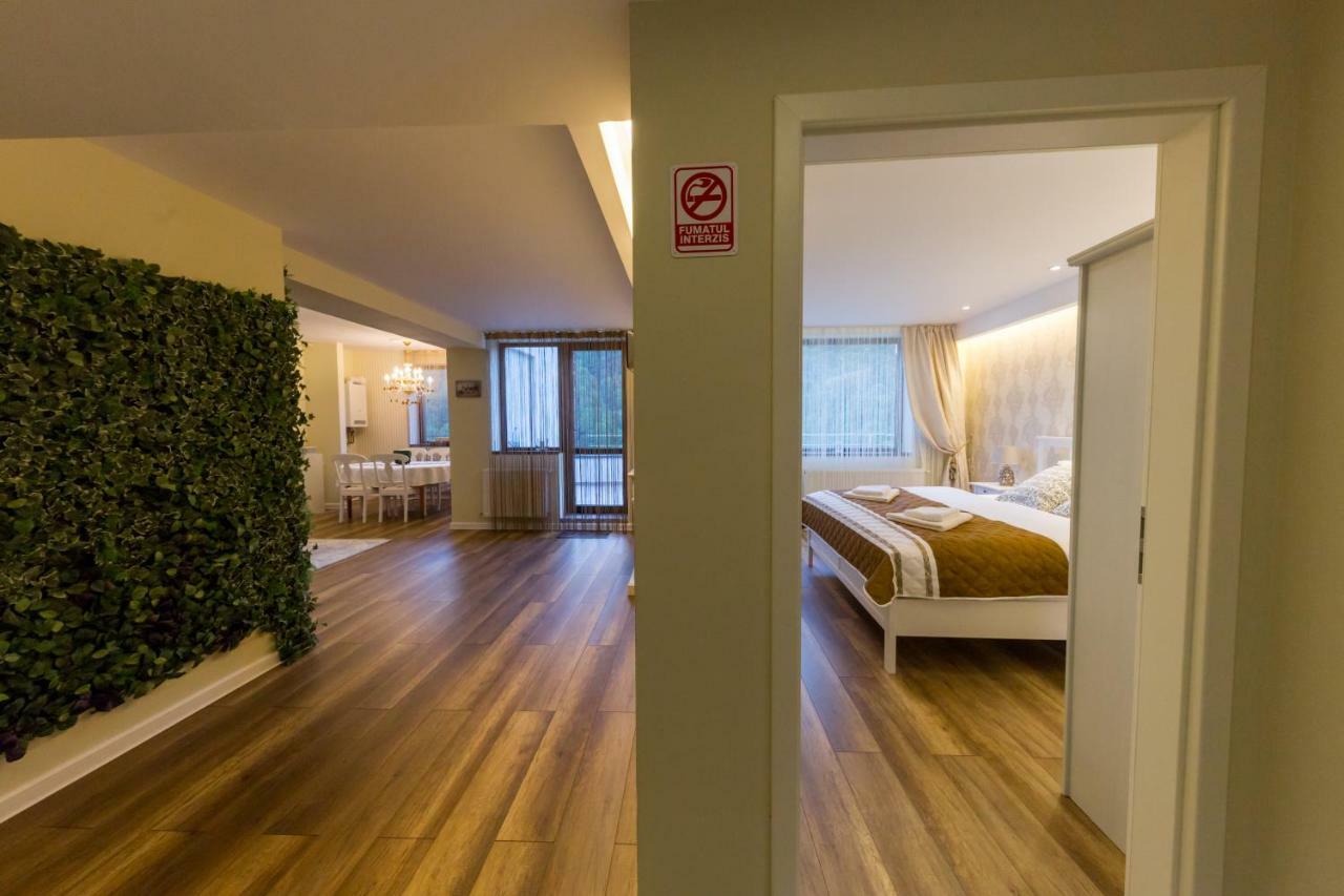 Apartament Carol シナヤ エクステリア 写真