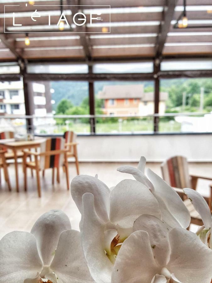 Apartament Carol シナヤ エクステリア 写真